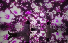 teamLab Planets TOKYO in Toyosu Ranks in Top 5 of Most Popular Museums in the World in Googles Annual Search Ranking. Starting in March, Artworks Featuring Cherry Blossoms That Bloom Across the Space Will Be on View.